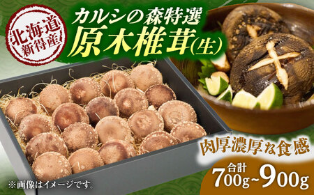 原木 生しいたけ 700g~900g | 合同会社カルシ [BNAU002]