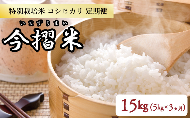 
            【定期便】 令和6年産 特別栽培米コシヒカリ 5㎏×1袋×3か月 今摺米【 新潟県 新発田市 JA北新潟 コシヒカリ 特別栽培米 定期便 3か月 5㎏ 米  今ずり米 新潟県 新発田市 D60_01 】
          