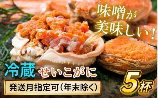 【先行予約】 【12月配送】  セイコガニ（ズワイガニのメス）中サイズ 5杯  小浜市 / まるほ商店 【配送不可地域：北海道・沖縄・離島】[BFCS015-12]