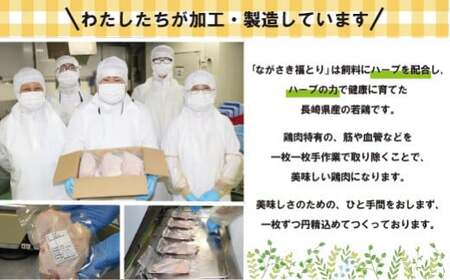 【ブランド鶏】ながさき福とり もも肉 約2.4kg 【長崎福鳥】鶏肉 鶏肉もも 鶏肉モモ 鶏もも肉 鶏モモ肉 もも肉 モモ肉 鶏肉小分け 鶏肉セット 鶏肉冷凍 ブランド鶏肉 鶏肉人気 もも肉人気 鶏肉