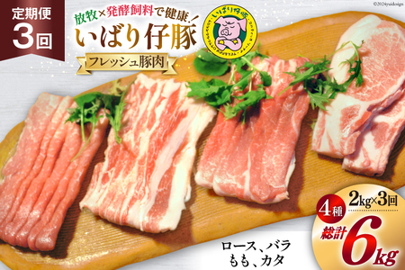 3回 定期便 豚肉 ぶた肉 いばり仔豚 ロース バラ もも カタスライス 各500g 計2kg×3回 [エル・コルティッホ・ソーナイ 宮城県 南三陸町 30am0006] ぶたにく 国産 スライス 厚切り 詰め合わせ 食べ比べ セット