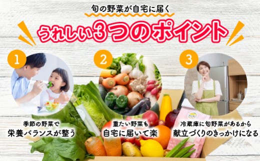 宮若産 旬の野菜詰め合わせ詰め合わせ 6?8種セット [M1018] 季節 野菜 果物 詰め合わせ 九州 福岡 宮若市 ふるさと納税 おすすめ