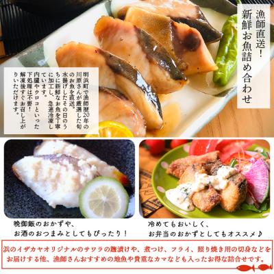 ふるさと納税 西予市 <漁師直送　新鮮お魚の詰め合わせ(愛媛県西予市明浜産)>　海産　魚介　食べ比べ |  | 01