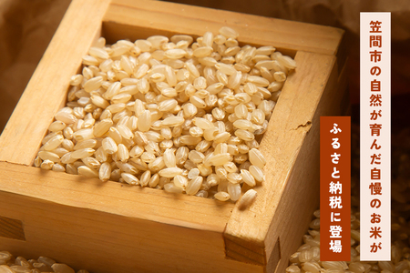 令和7年産にじのきらめき 玄米 10kg 3ヵ月 定期便 (合計30kg) 米 FH-022