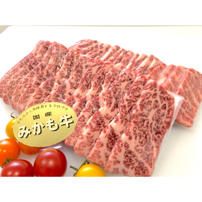 
「みかも牛」焼肉用600g(300gx2)【1257319】
