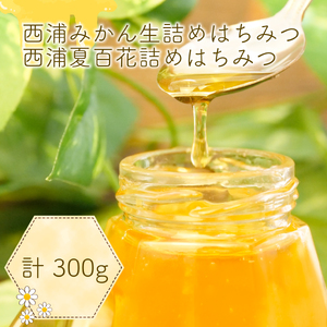 【価格改定予定】はちみつ 100g 3本 セット 蜂蜜 西浦 みかん 蜂蜜 純粋 はちみつ セット 採れたて はちみつ 蜂蜜 はちみつ 蜂蜜 はちみつ ハニー パン ジャム 蜂蜜 はちみつ ギフト 蜂蜜 はちみつ プレゼント 蜂蜜 はちみつ 贈答用 蜂蜜 はちみつ 希少 蜂蜜 はちみつ 国産 蜂蜜 はちみつ 静岡 蜂蜜 はちみつ 沼津