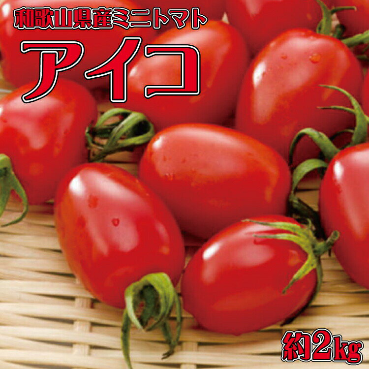 【ふるさと納税】 和歌山産ミニトマト「アイコトマト」約2kg（S・Mサイズおまかせ）【配送月が選べる！】