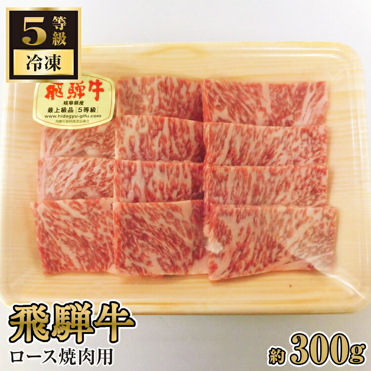 【ふるさと納税】飛騨牛ロース焼肉用 約300g（5等級/冷凍） [No.214] ／ ブランド牛 牛肉 BBQ 送料無料 岐阜県 特産品