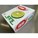 【ふるさと納税】【期間限定】露地すだち 2箱（2kg）(8月中旬より順次発送） | 柑橘 フルーツ 果物 くだもの 食品 人気 おすすめ 送料無料　