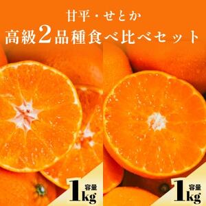 【愛媛人気2品種食べ比べ】せとか + 甘平 各1kg【C70-169】【1713319】