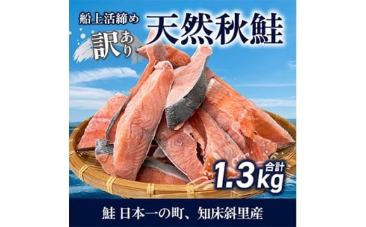 ＜先行受付＞＜訳あり＞知床斜里産 天然秋鮭の切り身 約1.3kg 船上活締め【1430538】