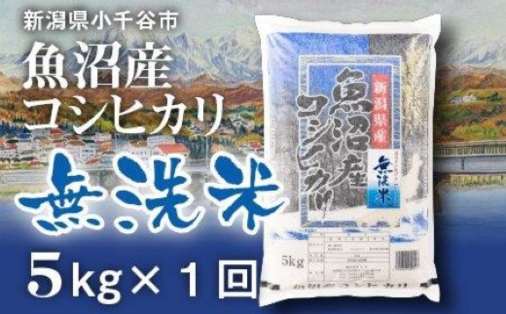 
                  先行予約 コシヒカリ 無洗米 魚沼産コシヒカリ 無洗米 5kg 令和8年産 米太 | 新潟県産 こしひかり 無洗 無洗米 5キロ 新潟県産コシヒカリ 新潟県産こしひかり 魚沼コシヒカリ お米 米 こしひかり 白米 精米 ブランド米 特A評価ランキング 上位 産地直送 むせんまい【0020-KT11】
                