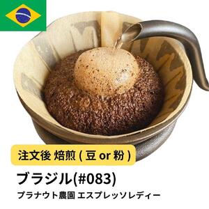 【豆】コーヒー #083 エスプレッソ レディー プラナウト農園 310g 当日焙煎 大山珈琲