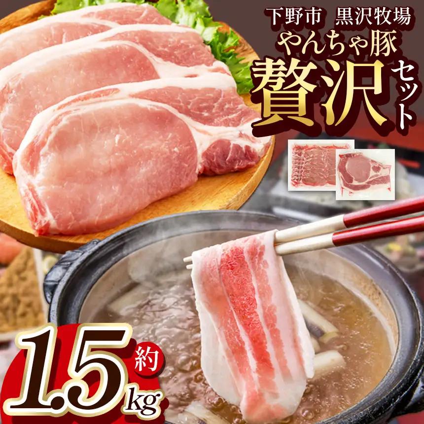 下野市 黒沢牧場 やんちゃ豚贅沢セット 約 1.5kg  | 栃木県 下野市
