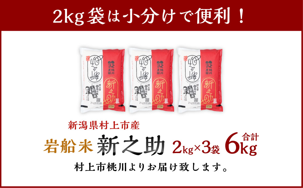 【精米即日発送・令和7年産米】新潟県村上市 桃川産  新之助 6kg　A4100