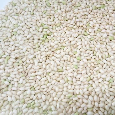 ふるさと納税 北見市 北海道産　きたゆきもち　玄米　30kg |  | 01