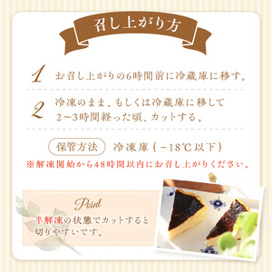 バスクチーズケーキ【A5-479】チーズケーキ とろ〜り スイーツ パーティー 記念日 バースデー 贈り物