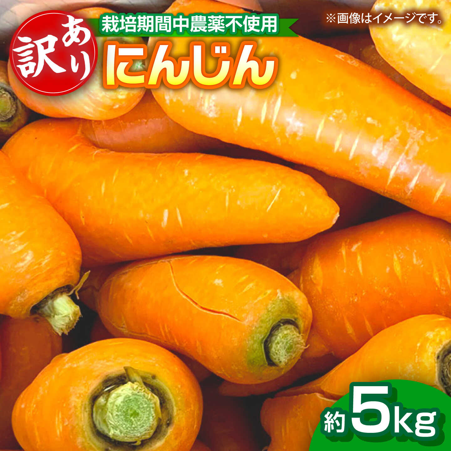 【ふるさと納税】にんじん 5kg バラ詰め 訳あり / 稲沢市 / 人参 野菜 加工用 / 稲沢市 / 櫛田養鶏場[BMAY018]