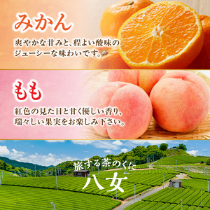 九州・福岡フルーツ王国八女　お試し旬のフルーツ定期便【全２回】 Ｈ　※配送不可：北海道と離島（沖縄本島を含む）　072-T021