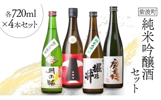 
                  紫波町の純米吟醸酒セット 日本酒 酒 純米吟醸 月の輪 吾妻嶺 堀の井 廣喜 美山錦 吟ぎんが 飲み比べ セット (AZ010-2)
                