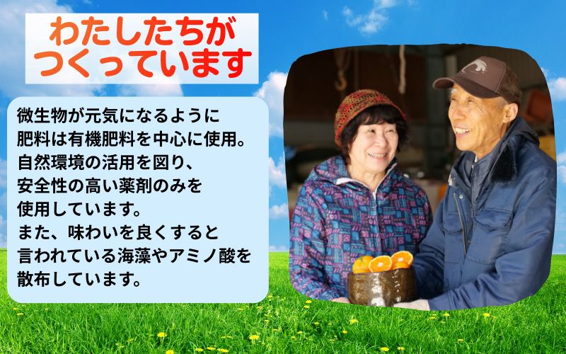 ▼海藻施用 有田みかん 手選果 10kg ※11月中旬～翌年1月中旬頃に順次発送予定 /mikan みかん 和歌山みかん ありだみかん 果物 くだもの フルーツ 柑橘 みかん 蜜柑 産地直送 数量限定