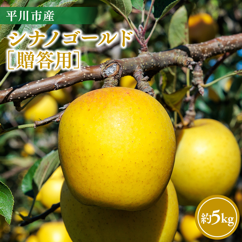 【11月～順次発送】贈答用シナノゴールド5kg【今井農園】≪hi-0064-015≫