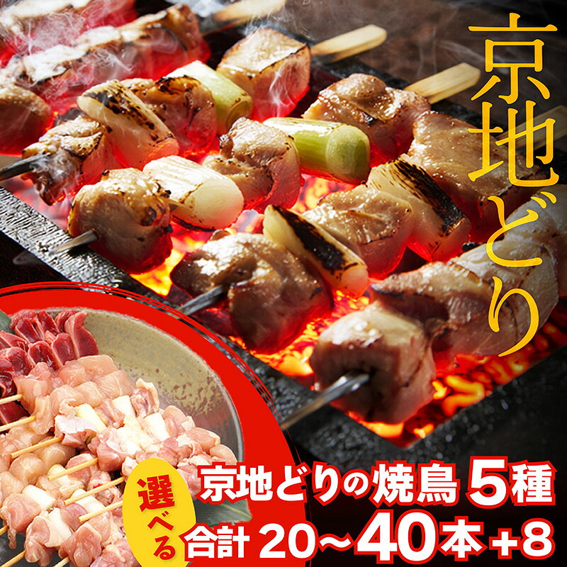 【ふるさと納税】絶品！希少品種！京丹後産 京地どり 焼き鳥5種盛り合わせ 【20本】【40本】【20本＆絶品手羽先・手羽元 各2個】【40本＆絶品手羽先・手羽元 各4個】選べる 内容量 焼鳥 手羽先 手羽元 地鶏 セット おつまみ おかず 詰め合わせ ふるさと納税 やきとり