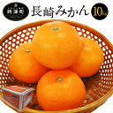 【ふるさと納税】長崎みかん 約10kg SまたはMサイズ 糖度10度 みかん フルーツ 果物 蜜柑 柑橘 国産 長崎県産 九州産 送料無料【2024年12月上旬～2025年1月上旬に順次発送予定】