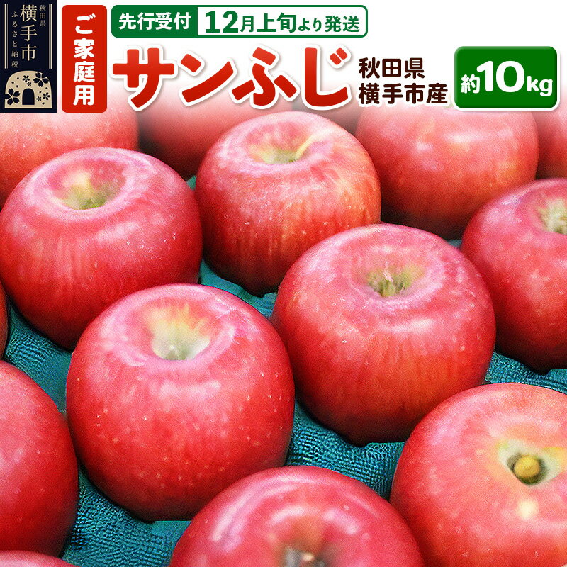 【ふるさと納税】【先行受付】12月上旬より発送 秋田県横手産 りんご サンふじ ご家庭用 約10kg