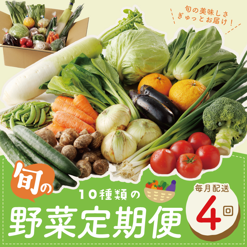 10種類の新鮮野菜 定期便 全4回 詰め合わせ 国産【毎月配送コース】 099Z185