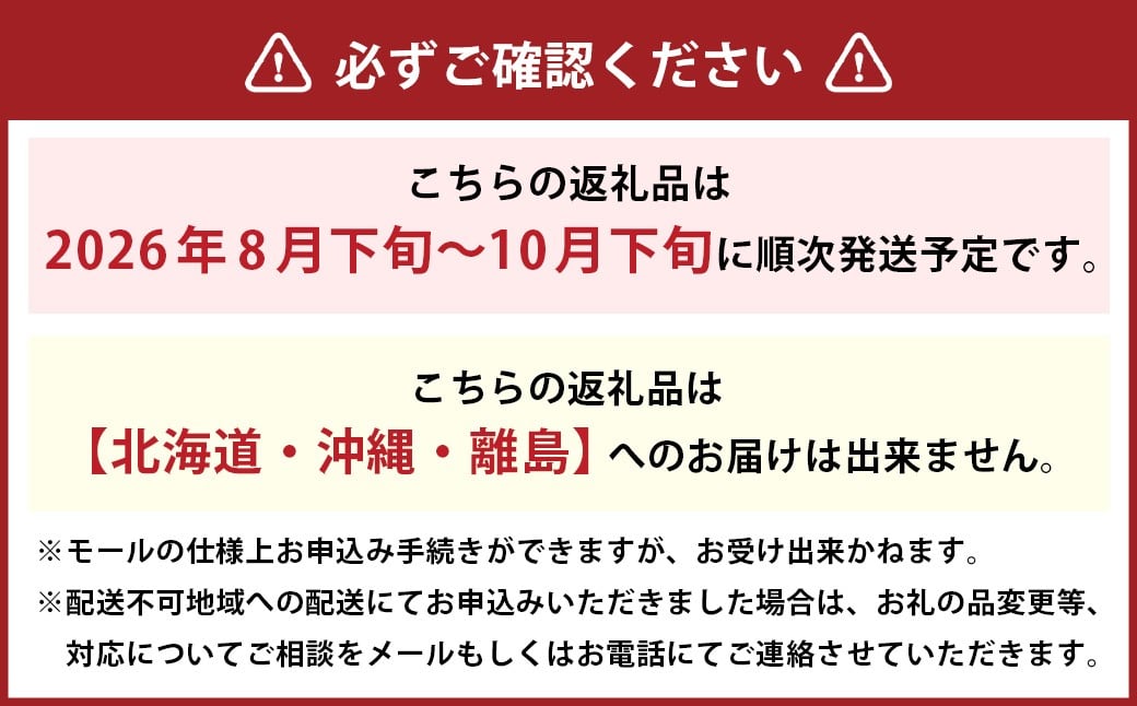 先行予約岡山県産ニューピオーネ 約2kg（3～6房）【2026年8月下旬～10月下旬まで順次発送予定】 葡萄 ぶどう ブドウ フルーツ 果物 冷蔵