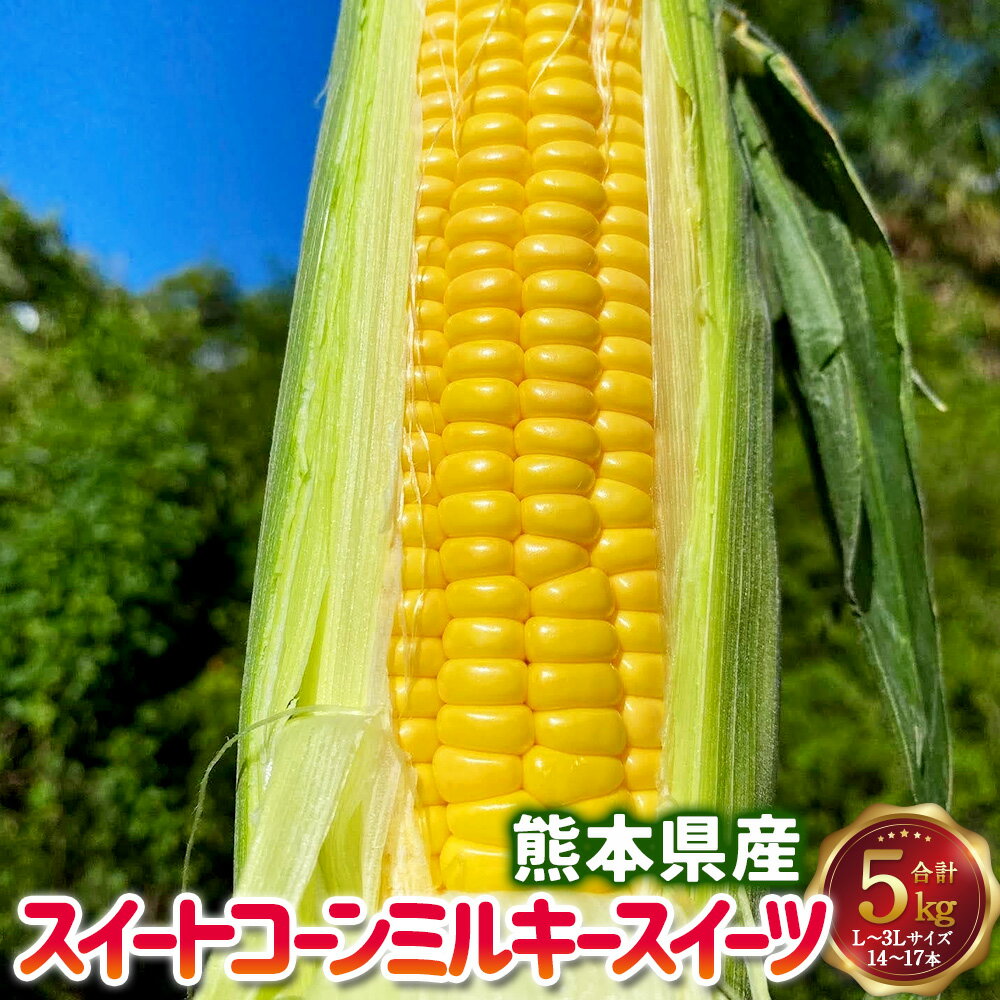 【ふるさと納税】熊本県産 スイートコーン ミルキースイーツ 約5kg 【2026年6月上旬発送開始】 とうもろこし トウモロコシ コーン 生 甘い 野菜 お取り寄せ 冷蔵 九州 熊本県 送料無料