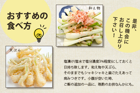 【2024年12月中旬から順次発送】島らっきょう（皮むき済み）300ｇ（100ｇ×3袋入り）KA-1