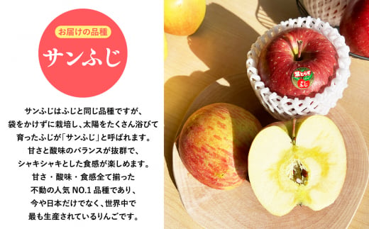2025年産１１月～４月発送　贈答用葉とらずサンふじ3kg【青森県 平川市 そと川りんご園】１１月～４月発送 贈答 青森 青森県産 平川 葉とらず サンふじ ふじ りんご リンゴ 林檎 くだもの 果物