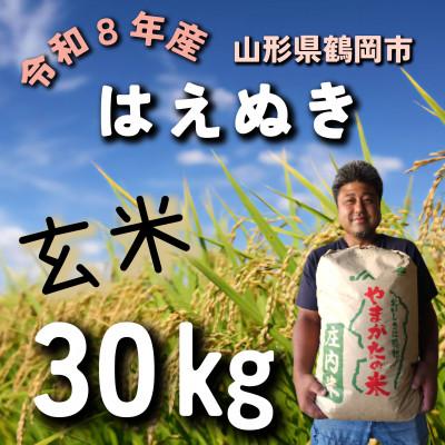 ふるさと納税 鶴岡市 令和8年産先行受付　山形県鶴岡市『はえぬき (庄内米)』　玄米 30kg