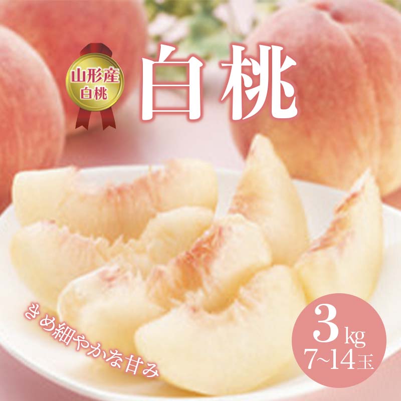 【ふるさと納税】 《先行予約 2026年度発送》白桃 3kg(7~14玉) もも モモ 桃 デザート フルーツ 果物 くだもの 果実 食品 山形県 FSY-0509