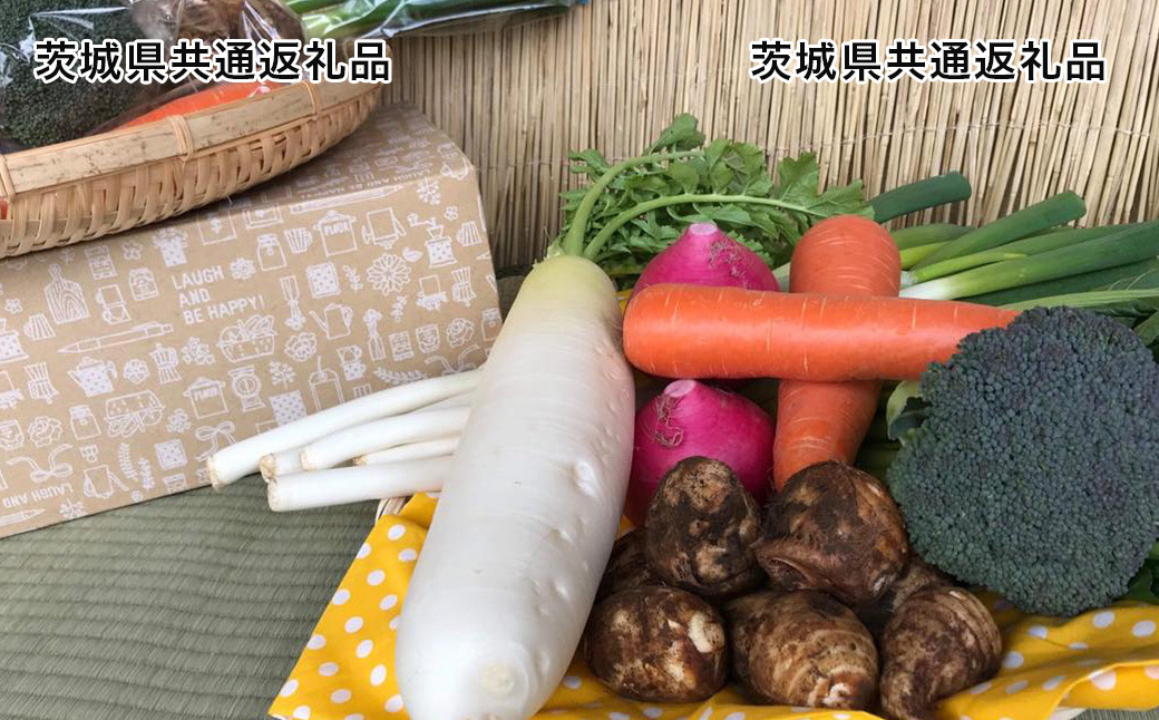 【茨城県共通返礼品】【12ヵ月定期便】栽培期間中農薬不使用 季節の野菜ハーフセット(6～7品)