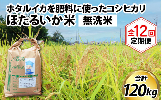 【訳あり】ほたるいか米（無洗米10kg）×12回 計120kg【12ヶ月定期便】