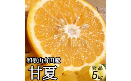 
                  【ふるさと納税】甘夏 (あまなつ) 秀品 約5kg 和歌山県有田産 春みかん 春柑橘 (果実サイズおまかせ) / 紀伊国屋文左衛門本舗_V7305
                