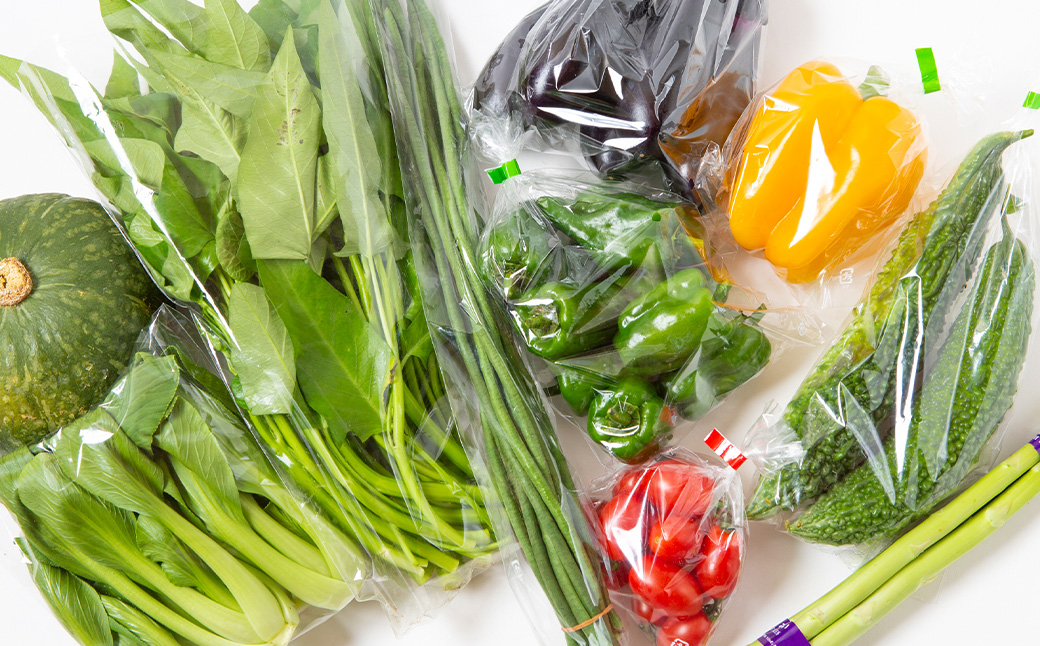 UIC 名水うきはの無農薬減農薬お野菜セットM