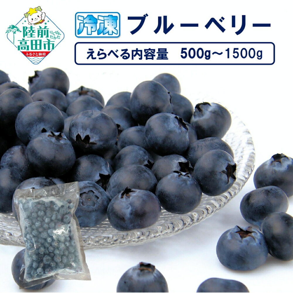 【ふるさと納税】冷凍 ブルーベリー 内容量が選べる 500g ～ 1,500g [ ブルーベリー 果物 フルーツ ベリー 料理 スイーツ デザート 摘みたて ジャム ヨーグルト 朝食 贈答品 プレゼント ギフト 旬 期間限定 数量限定 だいわフルーツパーク ]