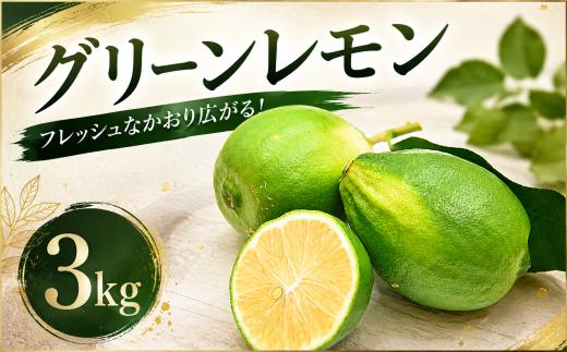 【先行予約】グリーンレモン 3kg 家庭用 レモン 檸檬 れもん 柑橘 果物 フルーツ なるた果樹園 グリーン サラダ 酒 ジュース 炭酸 割り 爽やか アレンジ レシピ 高知県 宿毛市