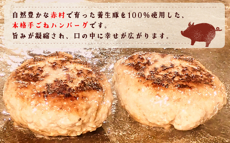 B19 赤村養生館 特製手ごねハンバーグ 14個