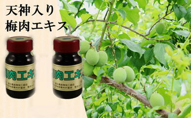 【ふるさと納税】T05 手づくりふる里の味 梅肉エキス 濃縮エキス 種の実 天神様 梅 青梅 喬木村