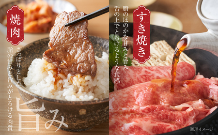 飛騨牛 赤身（スライス・焼肉） 600g 飛騨牛 飛騨高山ミート [MZ015]