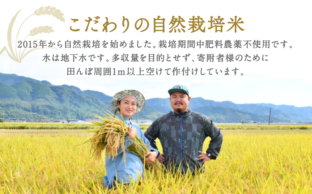 【先行予約】 《令和7年産》 自然栽培米 くらら 精米 5kg （八代産ヒノヒカリ） 【2025年10月下旬より順次発送】