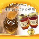 【ふるさと納税】cafeやまぼうしの日本ミツバチの蜂蜜　170g×2本 | ハニー 蜂蜜 食品 人気 おすすめ 送料無料
