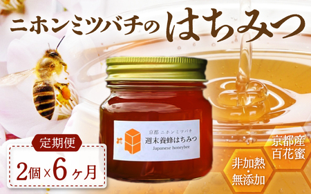 【定期便】 ニホンミツバチのはちみつ 600g×6回 | 蜂蜜 はちみつ ハチミツ 百花蜜