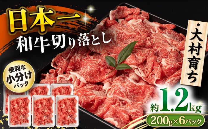 
            大村育ち 長崎和牛 切り落とし肉 1.2kg / 牛肉 赤身 小分け すき焼き 煮込み/ 大村市 / おおむら夢ファームシュシュ [ACAA476]
          