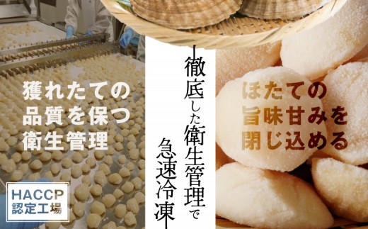 【お手頃サイズ】オホーツク産ホタテ玉冷1kg（約60～80玉入り）